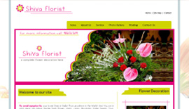 Welcome to our portfolio