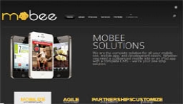Welcome to our portfolio